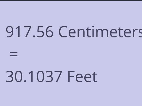 917.56 CM TO FEET