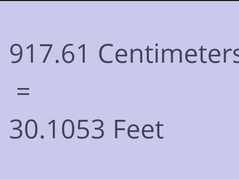 917.61 CM TO FEET