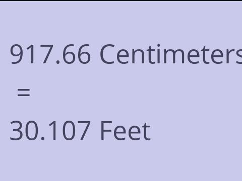 917.66 CM TO FEET