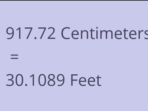 917.72 CM TO FEET