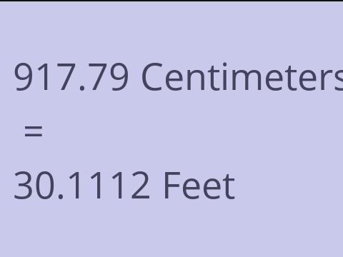 917.79 CM TO FEET