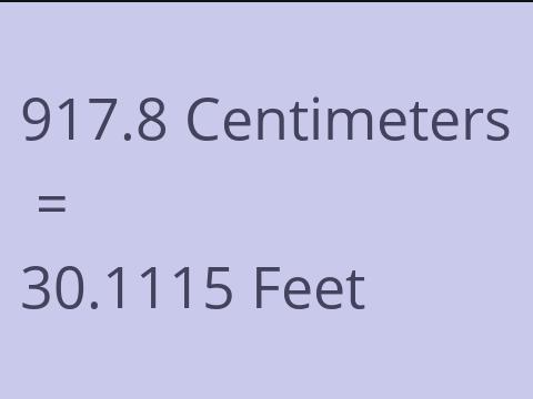 917.8 CM TO FEET