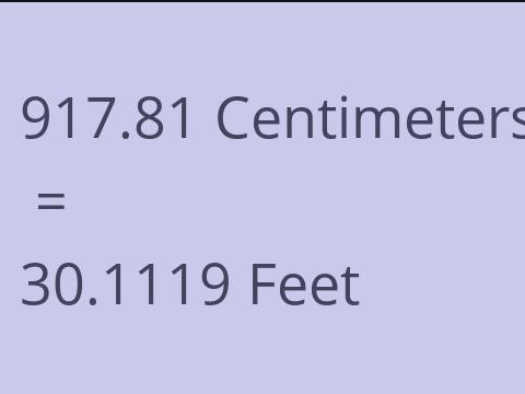 917.81 CM TO FEET