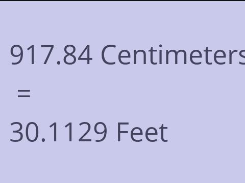 917.84 CM TO FEET