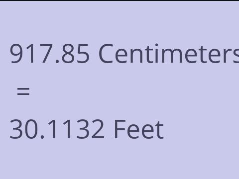 917.85 CM TO FEET