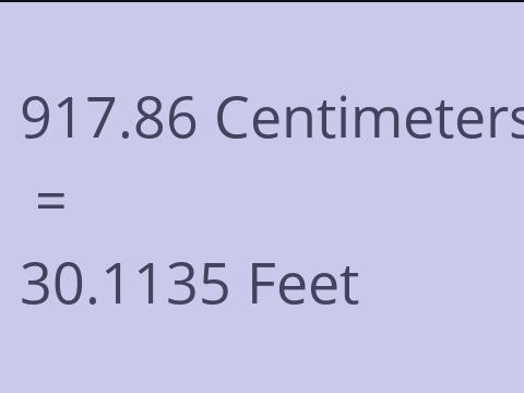 917.86 CM TO FEET