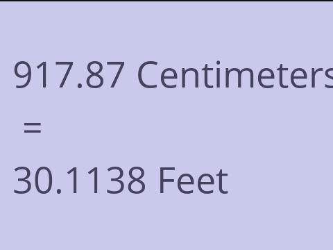 917.87 CM TO FEET