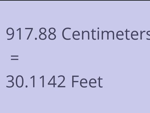 917.88 CM TO FEET