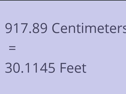 917.89 CM TO FEET