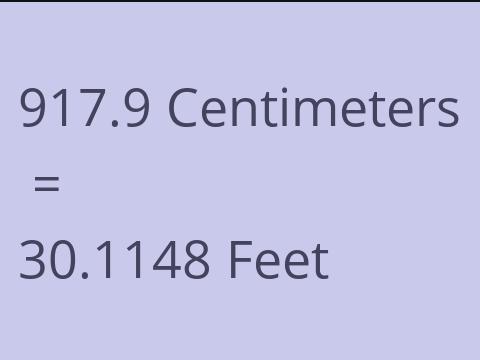 917.9 CM TO FEET