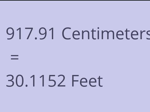 917.91 CM TO FEET