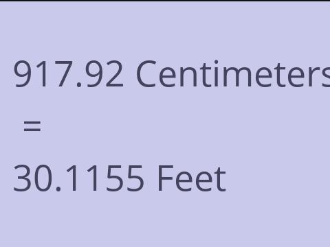 917.92 CM TO FEET