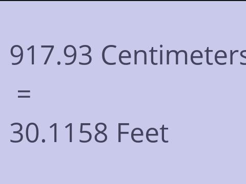 917.93 CM TO FEET