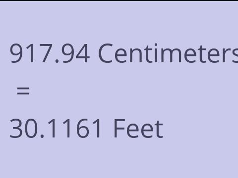 917.94 CM TO FEET