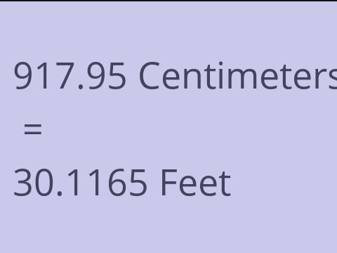 917.95 CM TO FEET