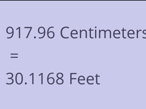 917.96 CM TO FEET