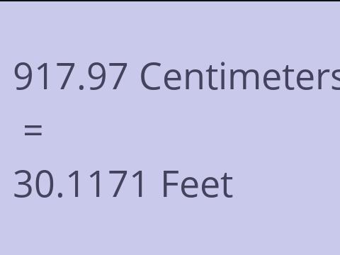 917.97 CM TO FEET