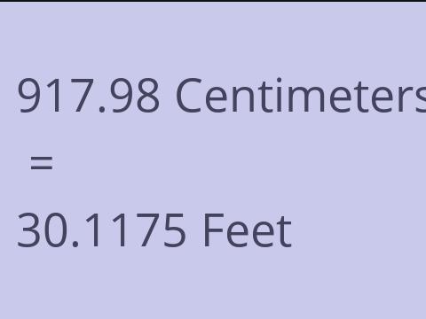 917.98 CM TO FEET