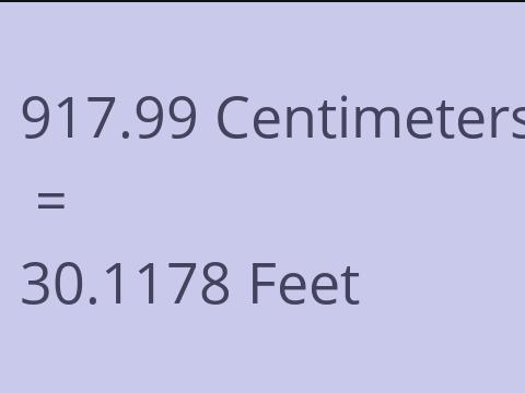 917.99 CM TO FEET