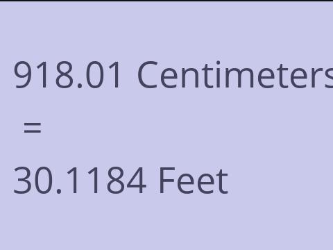 918.01 CM TO FEET