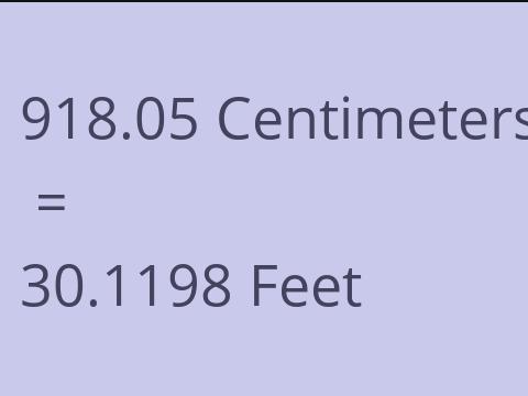 918.05 CM TO FEET