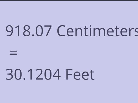 918.07 CM TO FEET