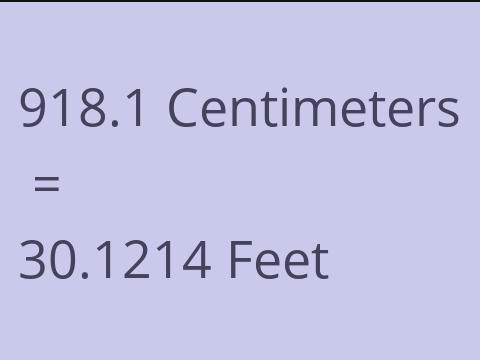 918.1 CM TO FEET