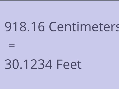 918.16 CM TO FEET