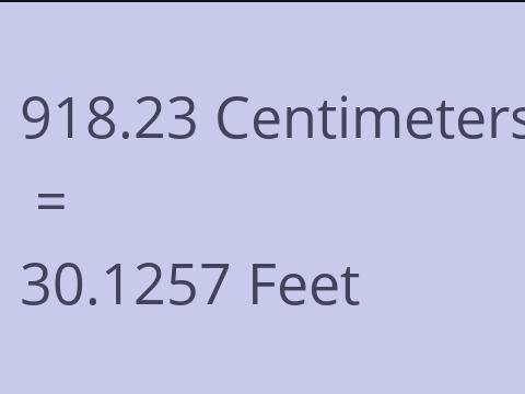 918.23 CM TO FEET