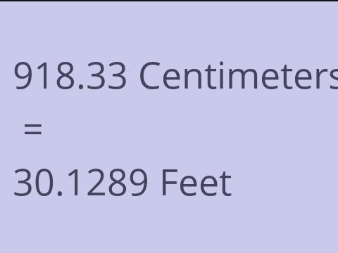 918.33 CM TO FEET