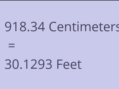 918.34 CM TO FEET