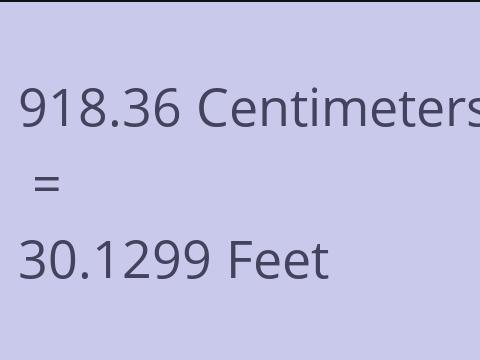 918.36 CM TO FEET