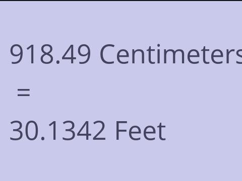 918.49 CM TO FEET