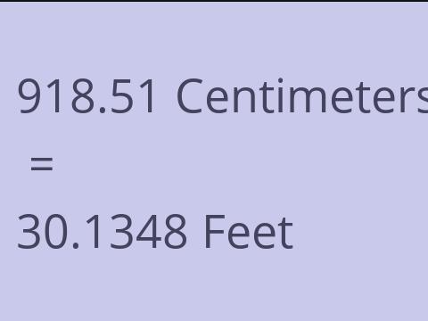 918.51 CM TO FEET