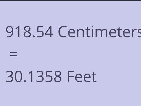 918.54 CM TO FEET