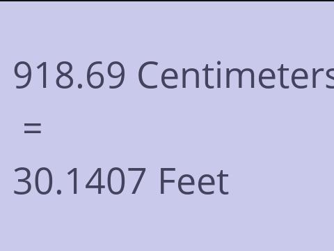 918.69 CM TO FEET