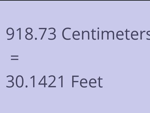 918.73 CM TO FEET