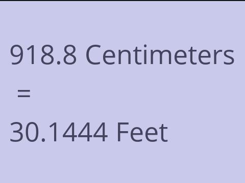 918.8 CM TO FEET