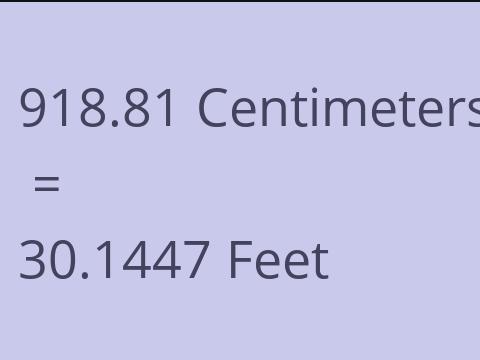 918.81 CM TO FEET