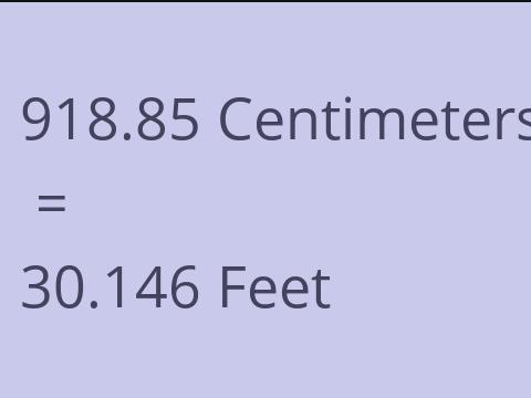 918.85 CM TO FEET