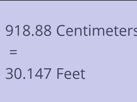 918.88 CM TO FEET