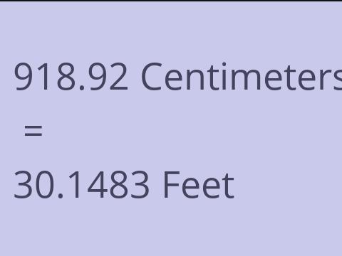 918.92 CM TO FEET