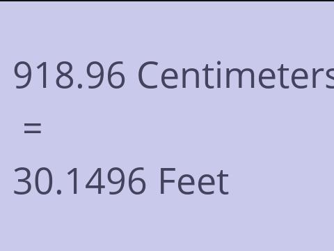 918.96 CM TO FEET