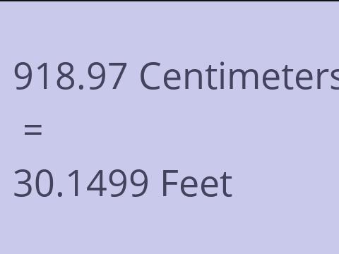 918.97 CM TO FEET