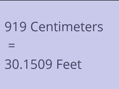 919 CM TO FEET