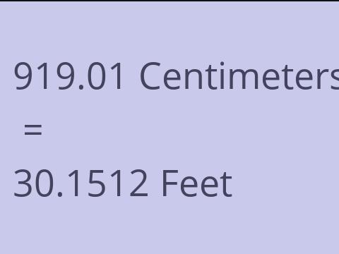 919.01 CM TO FEET