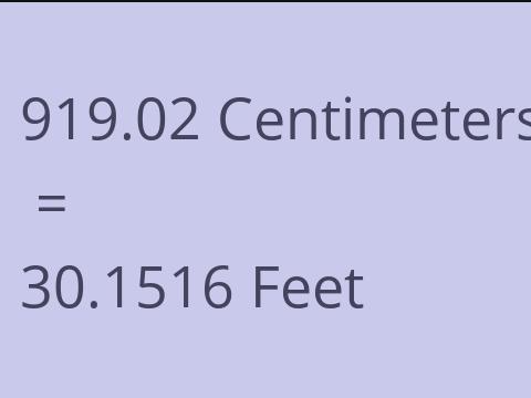 919.02 CM TO FEET