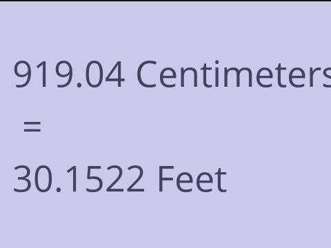 919.04 CM TO FEET