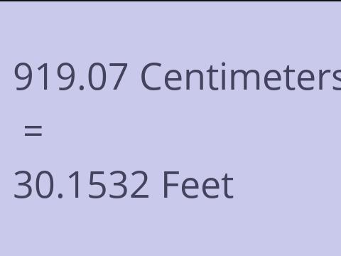 919.07 CM TO FEET