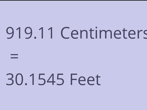 919.11 CM TO FEET